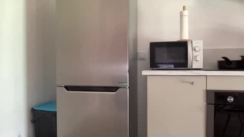 Quinnyelena online show from April 25, 2026, 12:08 pm