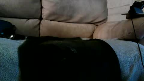 Bi daddy online show from December 10, 2024, 6:28 pm