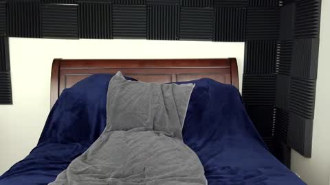 Rachel Price online show from November 15, 2025, 11:10 pm