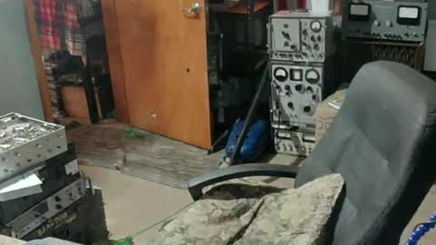 Randall online show from July 15, 2026, 7:52 pm