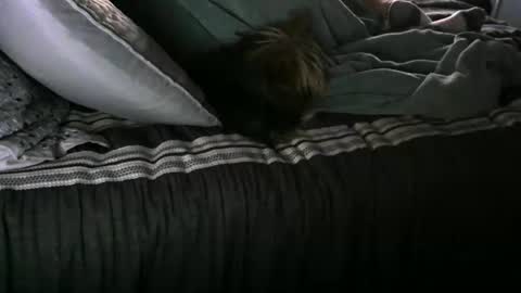 Randy8inbater online show from January 12, 2025, 2:52 pm