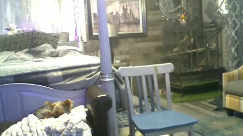Snapshot of randybater8in chatting on June 15, 2026, 2:03 am Randy8inbater online show from June 15, 2026, 2:03 am