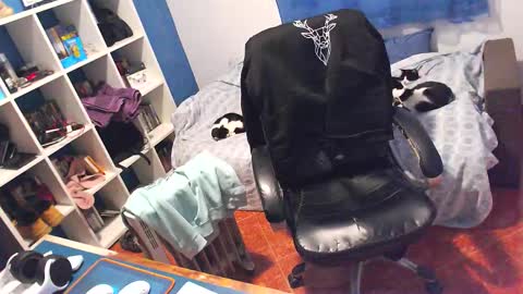 ravingr3d3 online show from February 5, 2026, 12:10 pm