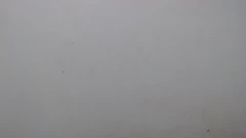 Ray  online show from February 1, 2025, 2:16 am