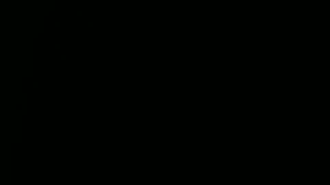 Snapshot of raysmith77777777 chatting on December 29, 2024, 3:57 pm Ray online show from December 29, 2024, 3:57 pm