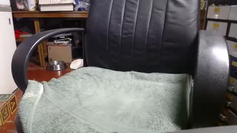 Snapshot of raysmith77777777 chatting on December 31, 2024, 12:11 am Ray online show from December 31, 2024, 12:11 am