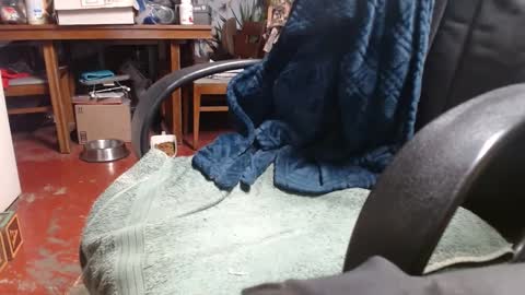 Snapshot of raysmith77777777 chatting on January 1, 2025, 1:04 am Ray online show from January 1, 2025, 1:04 am