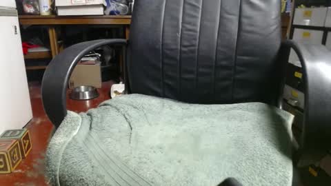 Snapshot of raysmith77777777 chatting on January 1, 2025, 4:07 am Ray online show from January 1, 2025, 4:07 am