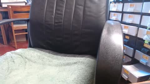 Snapshot of raysmith77777777 chatting on January 1, 2025, 3:03 pm Ray online show from January 1, 2025, 3:03 pm