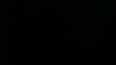 Snapshot of raysmith77777777 chatting on January 1, 2025, 9:20 pm Ray online show from January 1, 2025, 9:20 pm