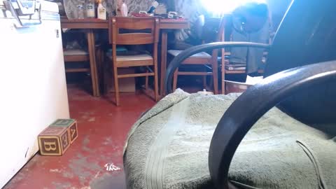 Snapshot of raysmith77777777 chatting on January 4, 2025, 2:04 pm Ray online show from January 4, 2025, 2:04 pm