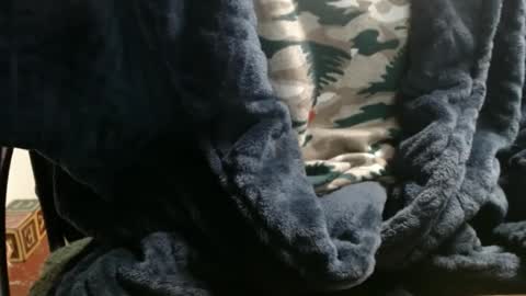 Snapshot of raysmith77777777 chatting on January 7, 2025, 12:34 am Ray online show from January 7, 2025, 12:34 am