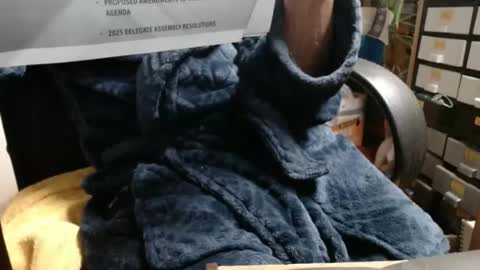 Snapshot of raysmith77777777 chatting on November 23, 2025, 3:39 am Ray online show from November 23, 2025, 3:39 am