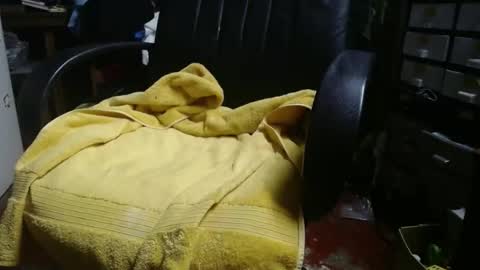 Snapshot of raysmith77777777 chatting on November 24, 2025, 12:27 pm Ray online show from November 24, 2025, 12:27 pm