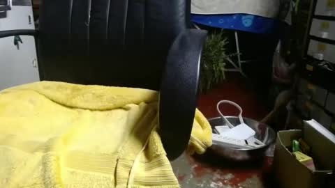 Snapshot of raysmith77777777 chatting on November 27, 2025, 1:07 am Ray online show from November 27, 2025, 1:07 am