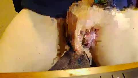 rb69er905364 online show from November 17, 2025, 10:04 pm