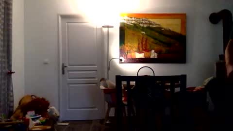 Snapshot of reachorgasmwithoutsex chatting on May 25, 2026, 2:12 pm reachorgasmwithoutsex online show from May 25, 2026, 2:12 pm