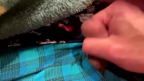 realbigload77 online show from December 23, 2025, 3:26 am