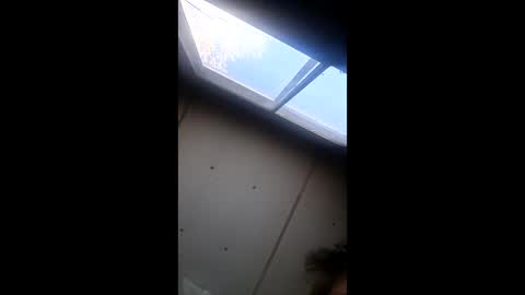 realisararebreed online show from December 21, 2025, 5:42 pm