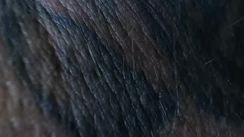 realrubpirate online show from September 26, 2025, 8:51 am