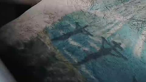 realrubpirate online show from February 9, 2026, 9:13 am