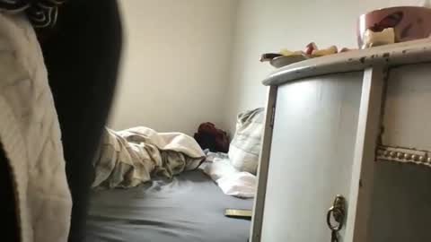 Redfox online show from March 15, 2026, 10:54 am