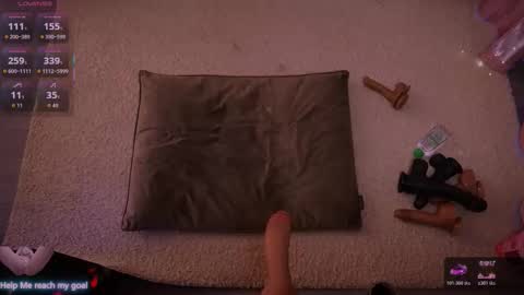 Redhead Shark online show from January 9, 2026, 1:14 pm