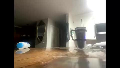 Snapshot of reeferleefer chatting on October 15, 2025, 3:39 am Lee online show from October 15, 2025, 3:39 am