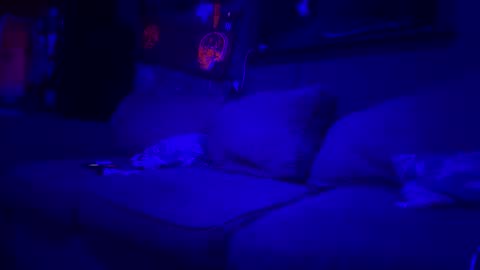 Snapshot of reeferleefer chatting on March 10, 2026, 1:54 am Lee online show from March 10, 2026, 1:54 am