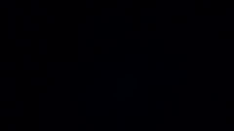 regine24 online show from July 7, 2026, 1:48 pm
