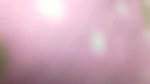 Shaved cock ready online show from January 1, 2025, 10:56 pm