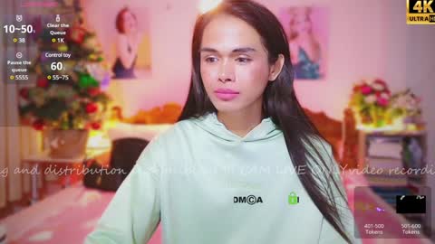 Snapshot of ribbinbovkoy chatting on December 22, 2024, 4:17 pm ribbinbovkoy online show from December 22, 2024, 4:17 pm