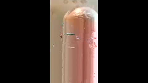 Snapshot of richarddockendorf74 chatting on March 26, 2026, 3:01 am Rickyrocket online show from March 26, 2026, 3:01 am