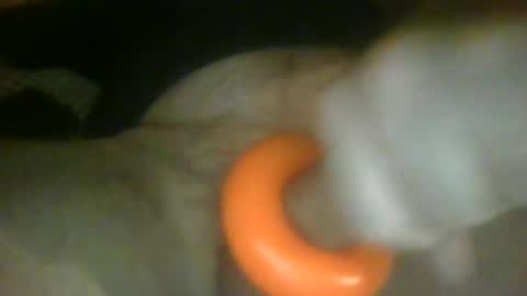 richardspit online show from January 26, 2025, 7:32 am