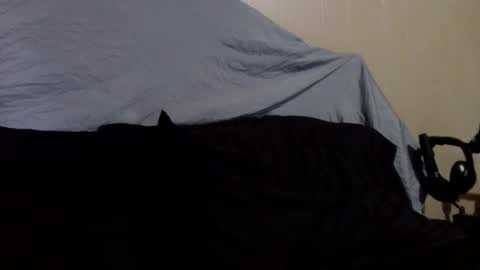 Snapshot of rickavelli chatting on October 8, 2025, 5:43 pm Rick online show from October 8, 2025, 5:43 pm