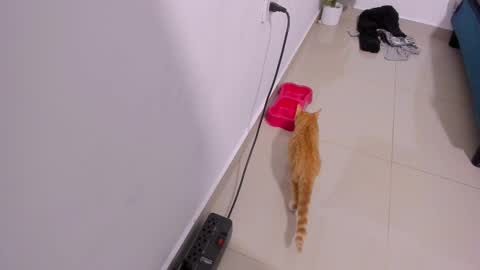 Rihanna hotx online show from December 21, 2025, 3:35 am