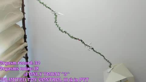 My name is Riley Like my broadcast pls 3 online show from May 21, 2026, 3:24 am