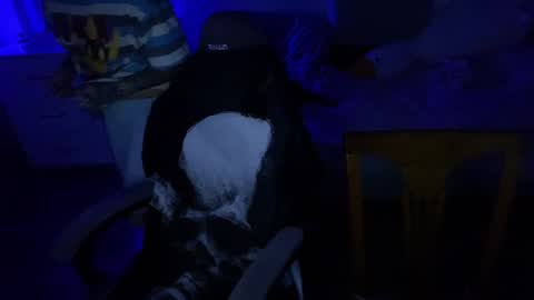 Snapshot of ripper_66 chatting on December 17, 2024, 7:48 pm DianaBrite fansl y online show from December 17, 2024, 7:48 pm