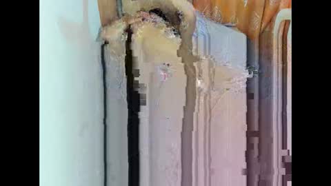 riridell_69 online show from June 11, 2026, 4:43 am