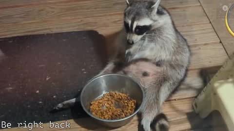 Ryan aka KeylimeRy online show from February 28, 2025, 8:31 am