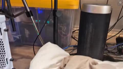 Ryan aka KeylimeRy online show from March 11, 2025, 9:02 am