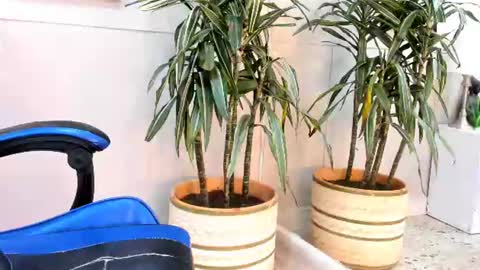 Snapshot of roan_birkin chatting on July 17, 2026, 7:19 pm Roan Birkin online show from July 17, 2026, 7:19 pm