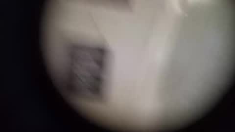 robinouhot online show from April 12, 2026, 5:12 am