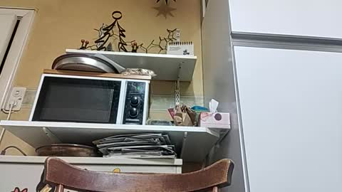 Snapshot of robke1966 chatting on December 23, 2025, 7:06 am robke1966 online show from December 23, 2025, 7:06 am