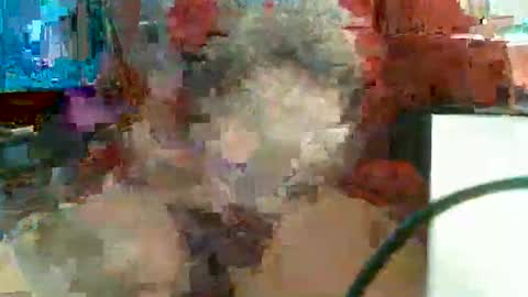 Snapshot of rocco1962 chatting on February 11, 2026, 11:48 am Rocco aka DaddyRoc online show from February 11, 2026, 11:48 am