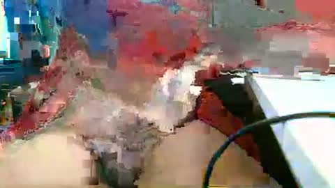 Snapshot of rocco1962 chatting on March 1, 2026, 1:13 pm Rocco aka DaddyRoc online show from March 1, 2026, 1:13 pm