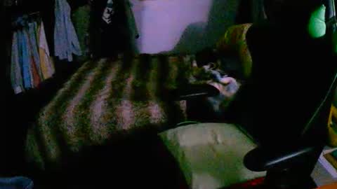 Snapshot of roketero93 chatting on December 16, 2025, 8:03 pm roktero 90 online show from December 16, 2025, 8:03 pm