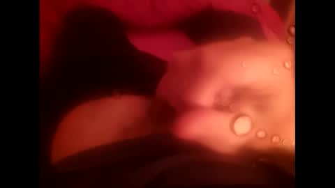 Snapshot of rollino83 chatting on December 17, 2025, 3:29 pm rollino83 online show from December 17, 2025, 3:29 pm