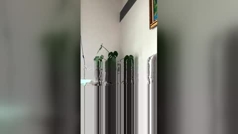 Snapshot of ronihall chatting on March 29, 2026, 6:08 pm Roni Hall online show from March 29, 2026, 6:08 pm