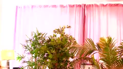 Rosa online show from July 27, 2026, 8:21 am